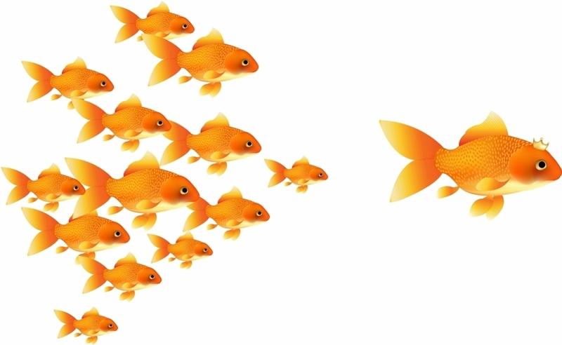 Everyone is an Influencer on Something